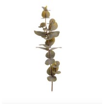 Tige Eucalyptus artificiel 40 Cm