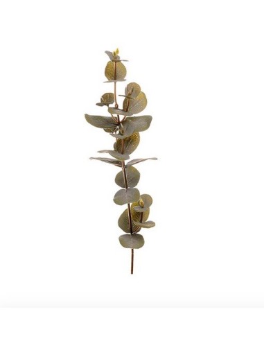 Tige Eucalyptus artificiel 40 Cm