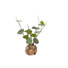 Plante artificielle Stephania