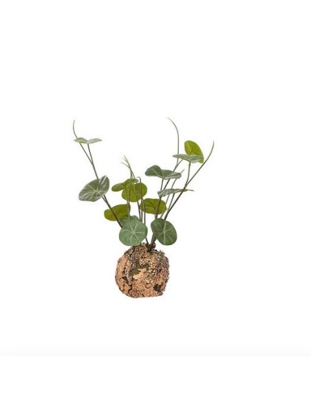 Plante artificielle Stephania