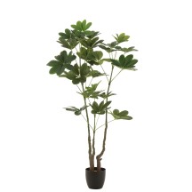 Pachira artificiel en pot  (64x30x157cm)