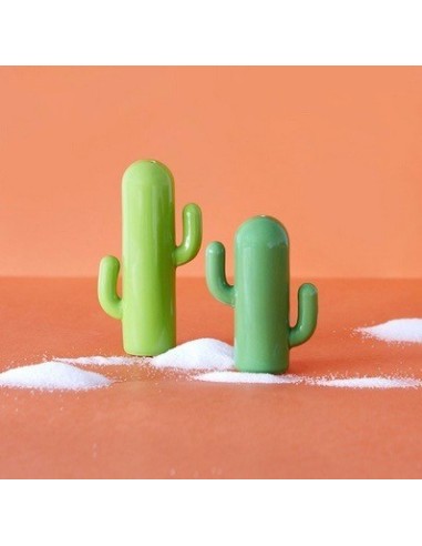 Set sel & poivre,Cactus,vert,porcelaine