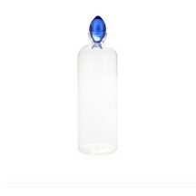 Bouteille,Gourami,1.1 L,bleu,borosilicate