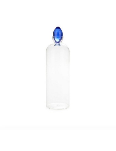 Bouteille,Gourami,1.1 L,bleu,borosilicate