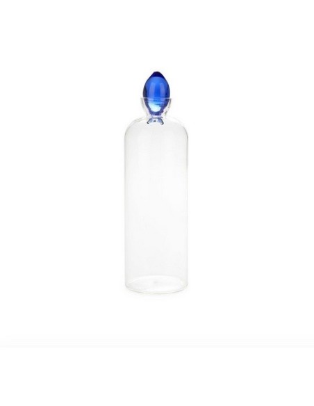 Bouteille,Gourami,1.1 L,bleu,borosilicate