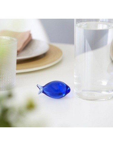 Bouteille,Gourami,1.1 L,bleu,borosilicate