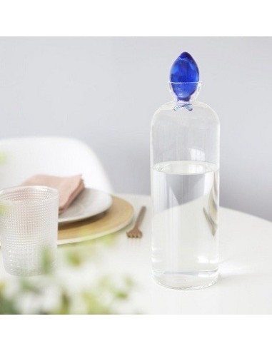 Bouteille,Gourami,1.1 L,bleu,borosilicate