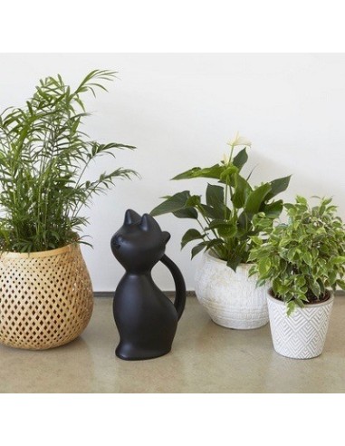 Arrosoir Chat,Meow,noir,plastique